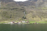 Bleiklindi im Nærøyfjord