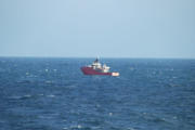 kleiner Nordsee Fischer